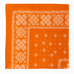 Foulard da collo arancio 2