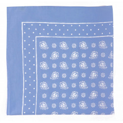Light blue bandana 2