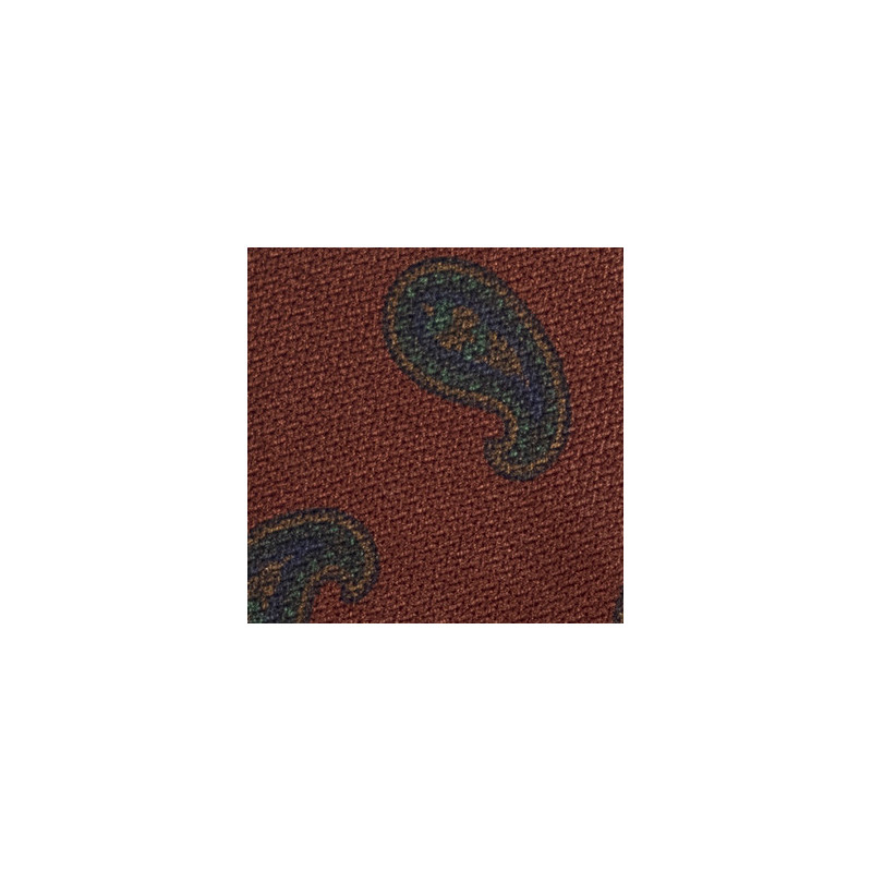 rust paisley tie