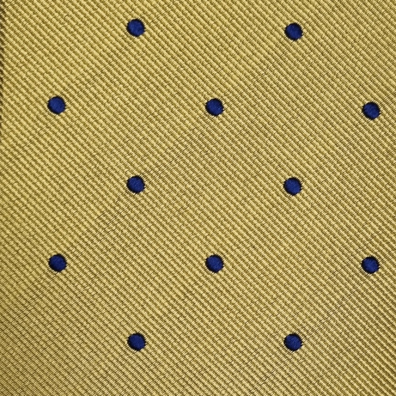 Dots reps jacquard tie - gold/navy