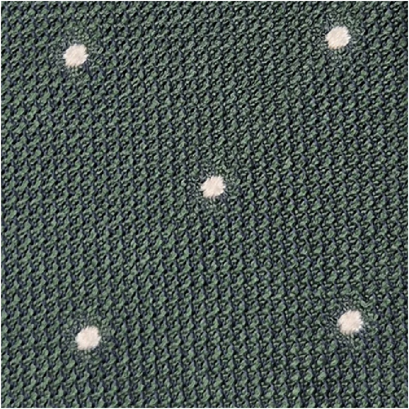 Cravatta garza con pois bianchi - verde