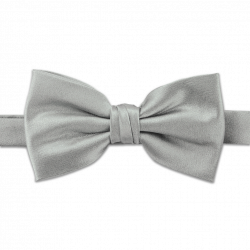 Pre-tied silver bow tie