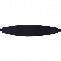 Navy cummerbund