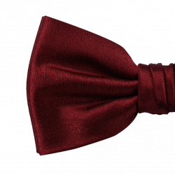 Pre-tied bordeaux bow tie 2